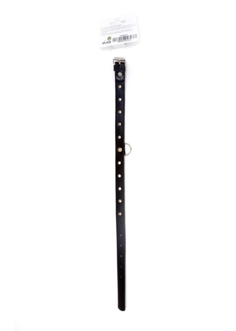 Fetish B-Series - Obroża 2 cm z Srebrnymi Kryształkami