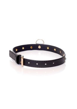 Elegancka Obroża B-Series Fetish z Turkusowymi Kryształkami, 2 cm