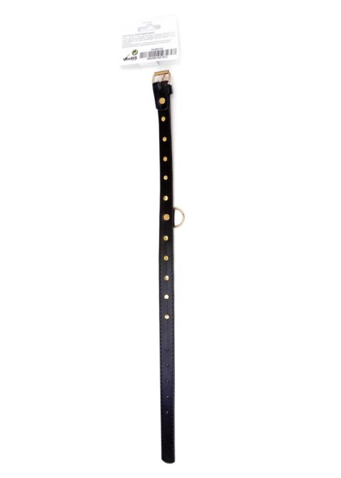 Elegancka Obroża B-Series Fetish z Turkusowymi Kryształkami, 2 cm