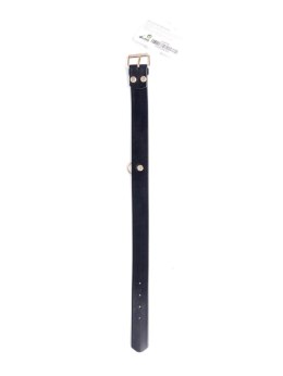 Złota obroża Fetish B z kryształkami, 3 cm