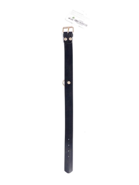 Złota obroża Fetish B z kryształkami, 3 cm