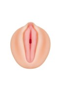 Realistyczny Masturbator Waginalny Alexis Texas