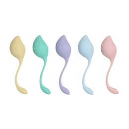 Pelvic Stem Kegel Kit – Zestaw do Treningu Mięśni Dna Miednicy