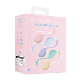 Pelvic Stem Kegel Kit – Zestaw do Treningu Mięśni Dna Miednicy