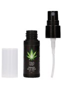 Ekskluzywny spray opóźniający wytrysk z CBD i konopiami - 15 ml