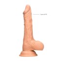 Realistyczne Dildo z Jądrami - 20 cm