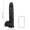 Ogromne Dildo Proste z Jądrami 35,5 cm - Czarny