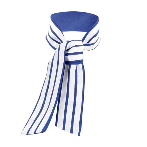 Zmysłowy Kostium Stewardessy – Rozmiar S/M – Elegancki Niebiesko-Biały