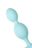 ToDo Anal Plug Roll