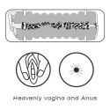 Dwustronny Masturbator Virgin-Skin: Porywająca Pochwa i Anus