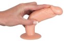 Zestaw do Treningu Analnego z Trzema Dildo