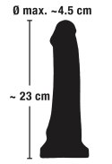 Europejski Kochanek