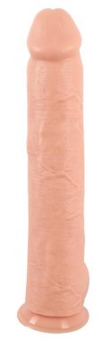 Olbrzymie Realistyczne Dildo 3XL Realistixxx
