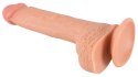 Realistixxx Real Lover Medium – Dildo o Niezwykłym Realizmie
