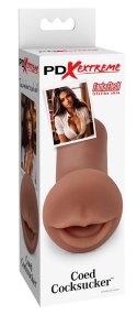 PDXE Masturbator do Stymulacji Oralnej 'Brown'