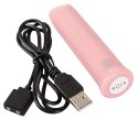 Shaker Vibe Pink - Mini Wibrator