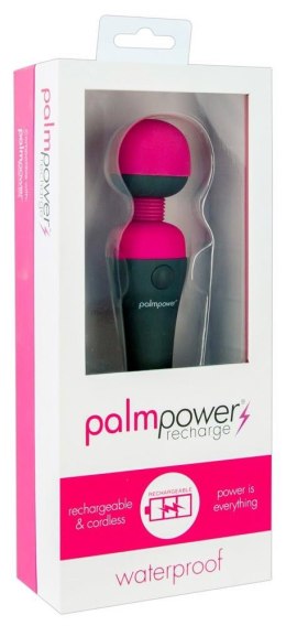 Masażer Palm Power Recharge