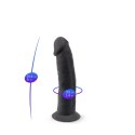 Dildo S.D. Model 2 (15 cm) BLACK BOX