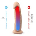 Dildo Realistyczne S.D. Model 2 (22,9 cm)