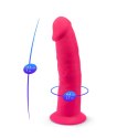 SilexD Dildo Model 2 (19 cm) – Realistyczna Przyjemność