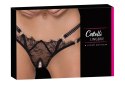 Stringi Rio Otwarte w Kroku M/L