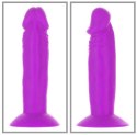 Addiction Silly Willy – Zestaw ekspozycyjny 12 figlarnych mini dildo