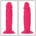 Addiction Silly Willy – Zestaw ekspozycyjny 12 figlarnych mini dildo