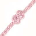 Rebellion Reign Rose: Jedwabista Lina do Bondage