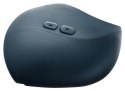 Pulse Duo 2025