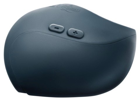 Pulse Duo 2025