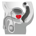 Luksusowy Joystick Masażer Prostaty - Czarny