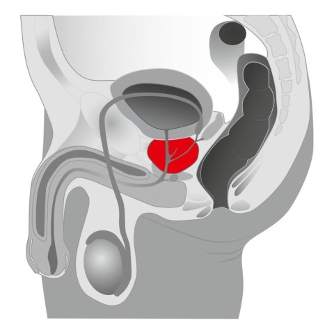 Luksusowy Joystick Masażer Prostaty - Czarny